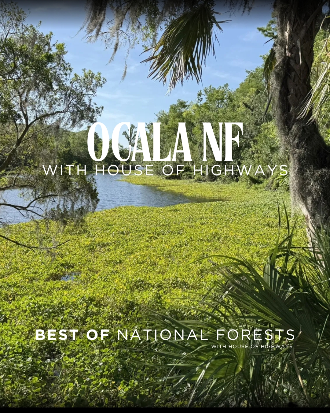 Why RV Camping in Ocala Feels Like Florida’s Wildest Hidden Jackpot