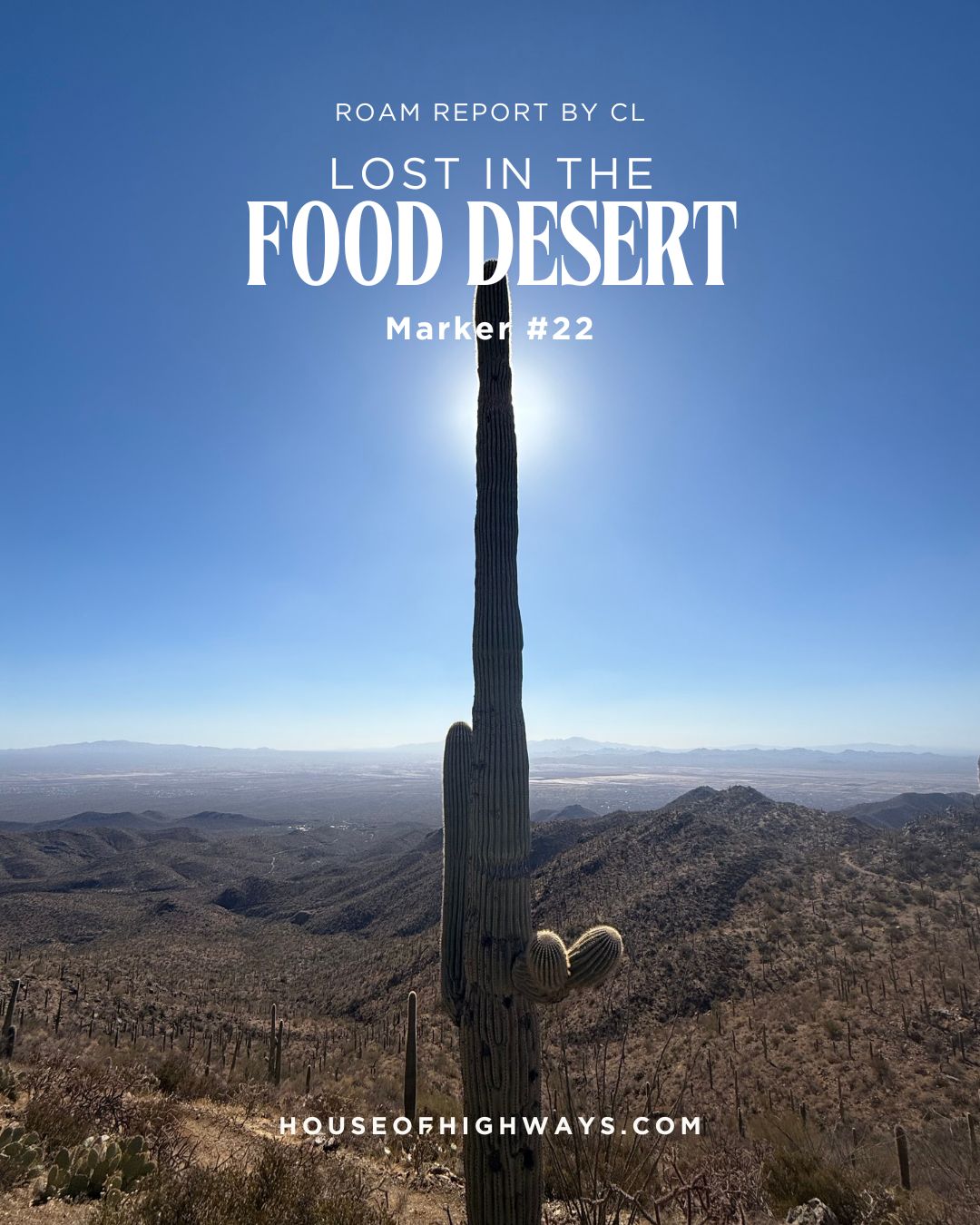 Lost in the Food Desert