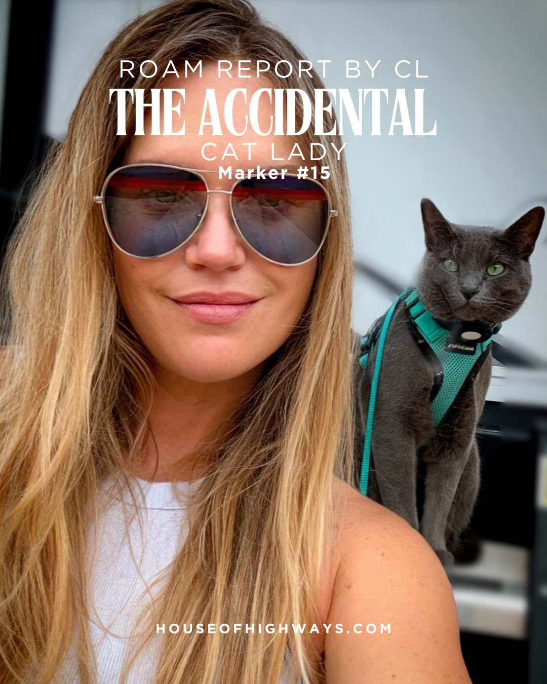 The Accidental Cat Lady