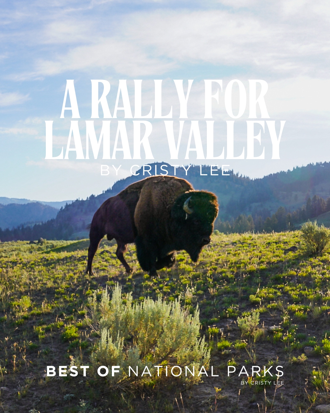 A Rally for Lamar Valley