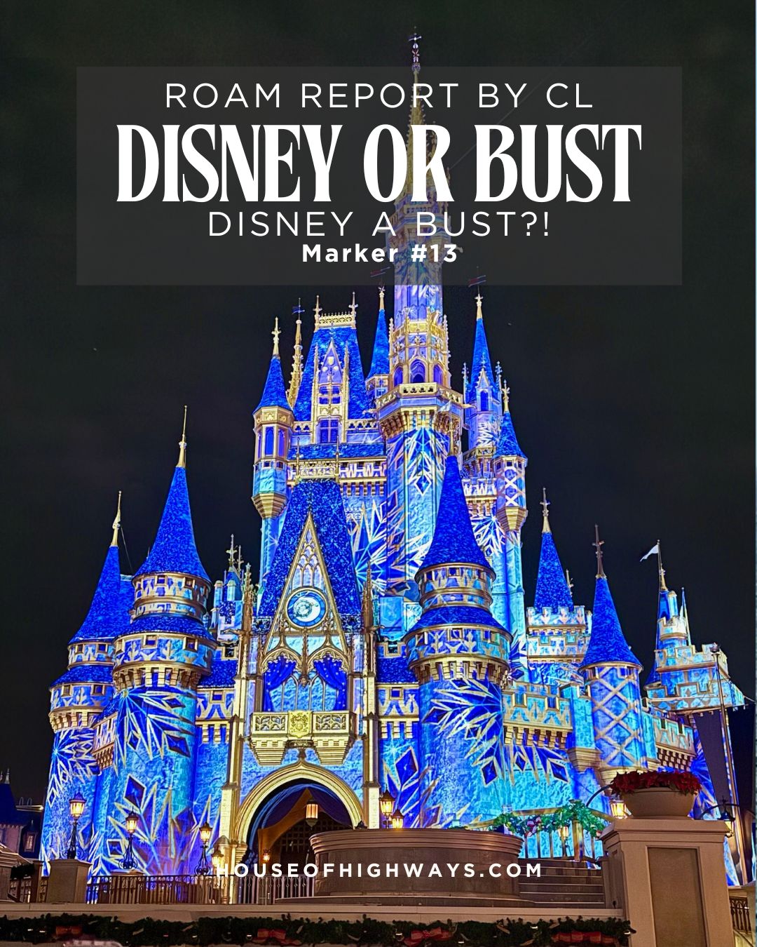 Disney or Bust! (Disney a Bust?!)
