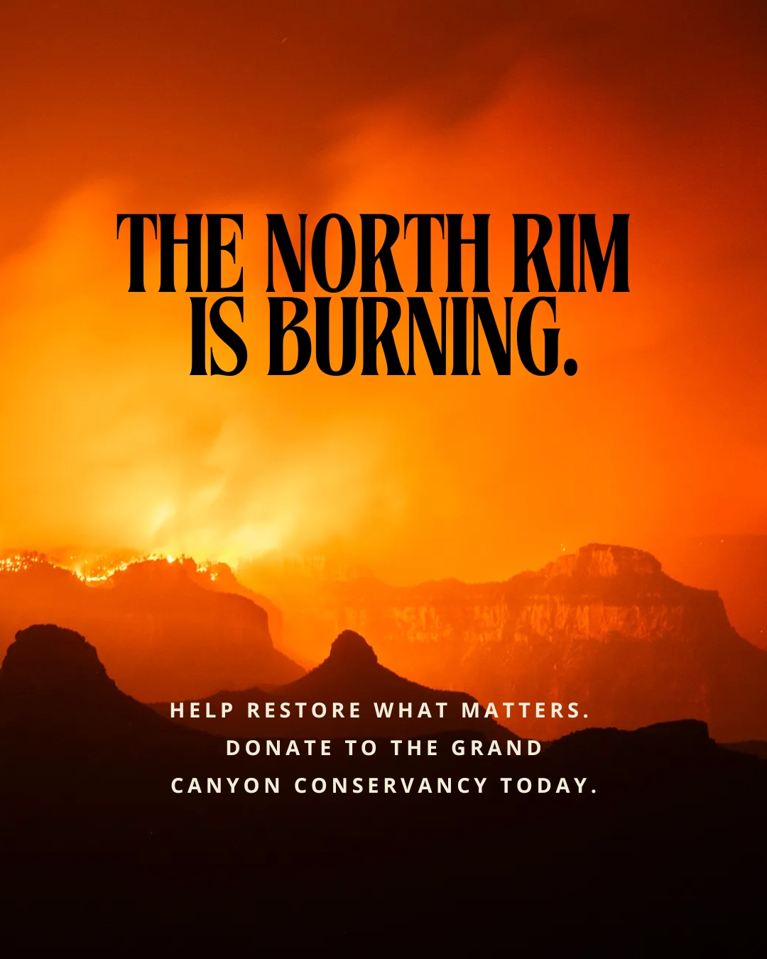 North Rim in Flames: A Heartbreaking Loss at Grand Canyon National Park
