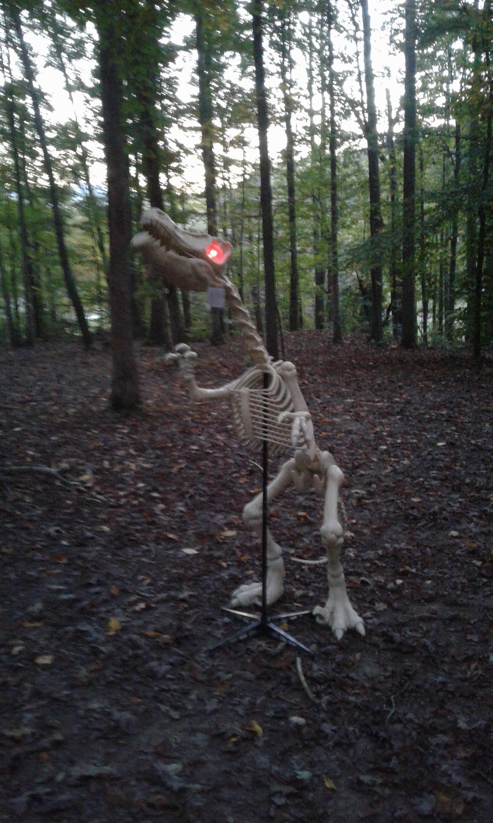 Cedar Mountain Campground