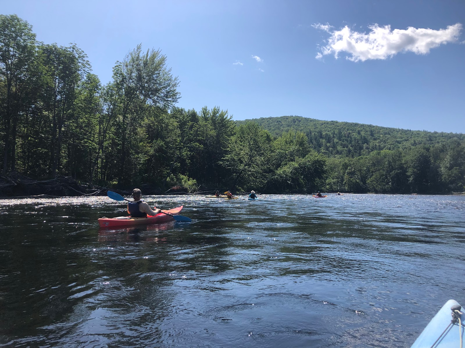 White Birches Camping Park