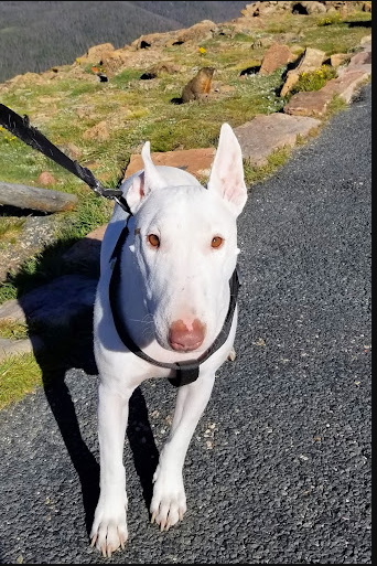 Rocky Mountain National Park Glacier Basin Campground