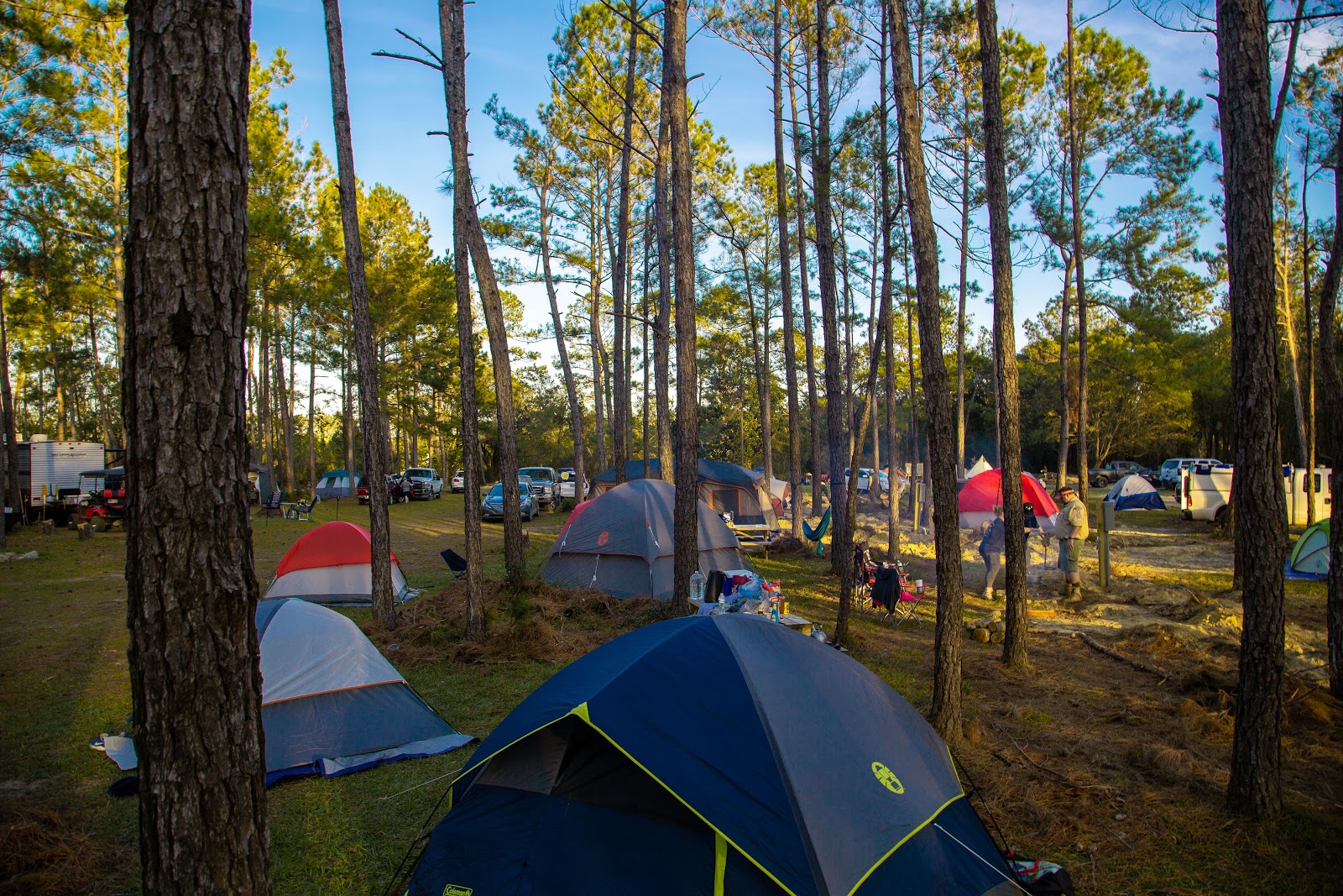 Yogi Bear’s Jellystone Park Camp-Resort: Alabama Gulf Coast