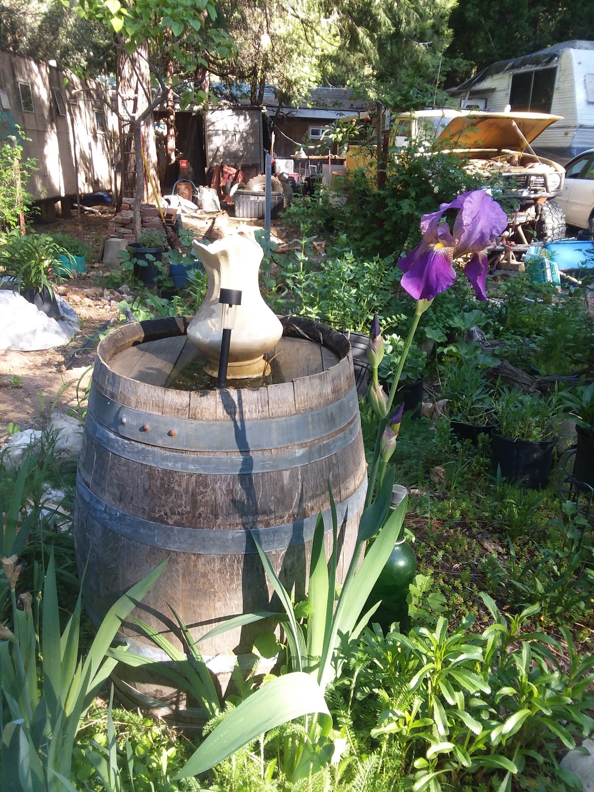 Camp Chiquita Campground