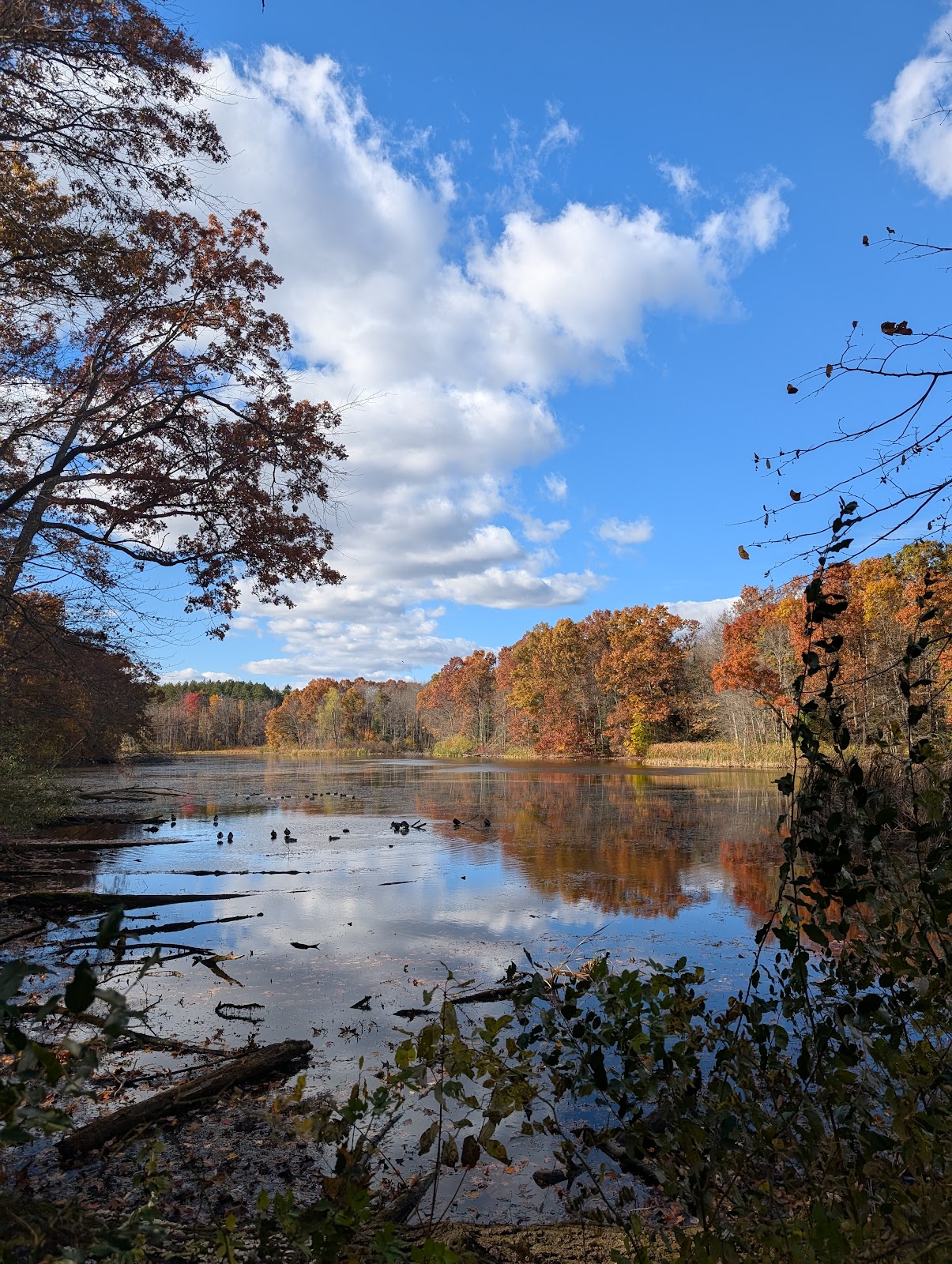 Proud Lake Recreation Area