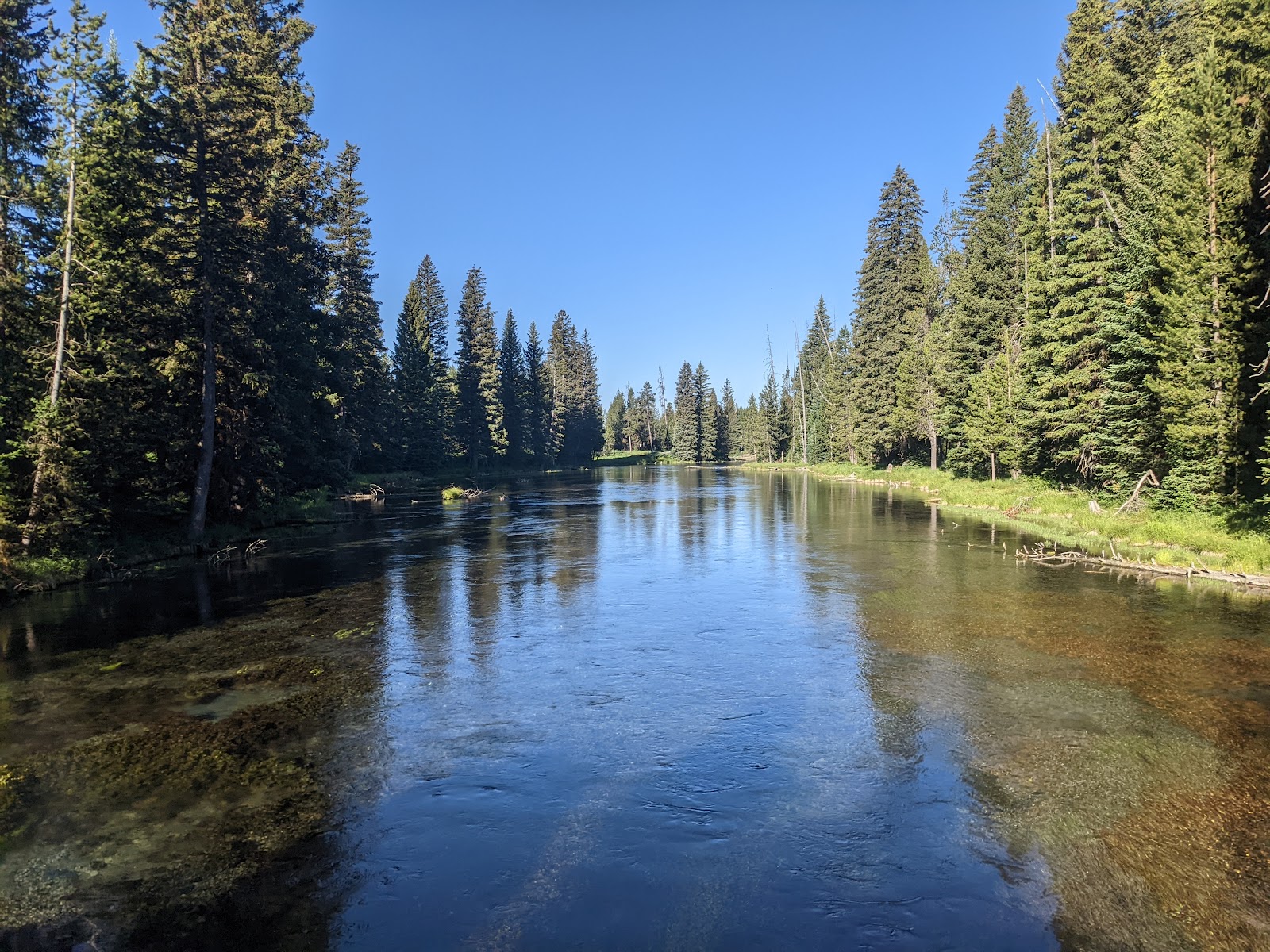 Big Springs Grp. Area - Island Park