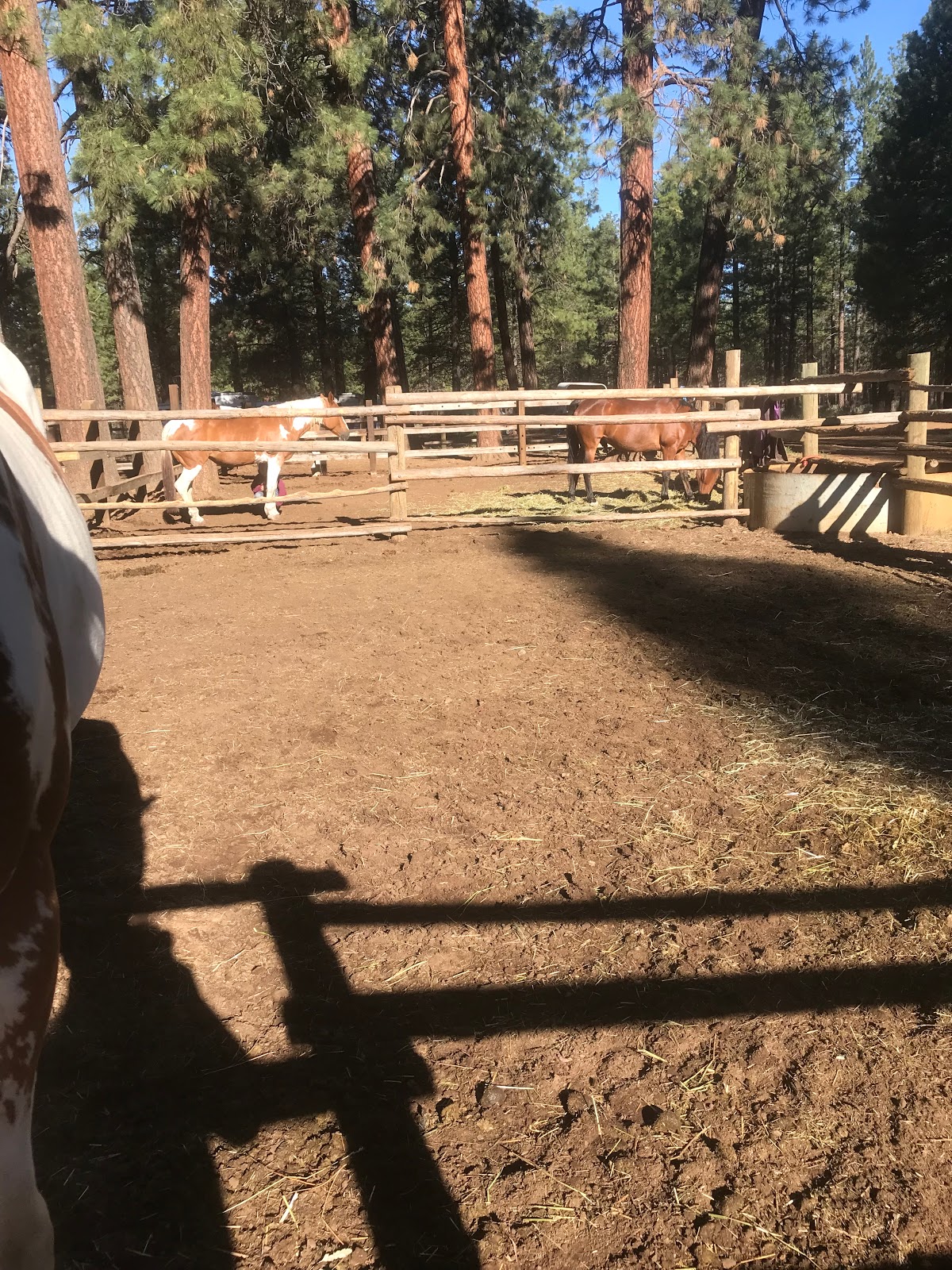 Sisters Cow Camp Horse Camp