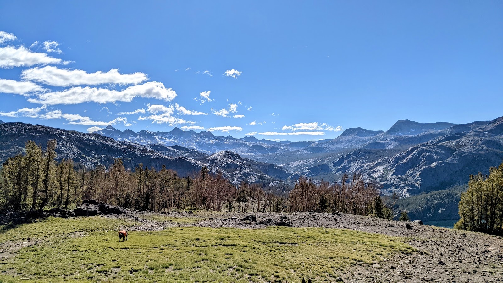 Inyo National Forest
