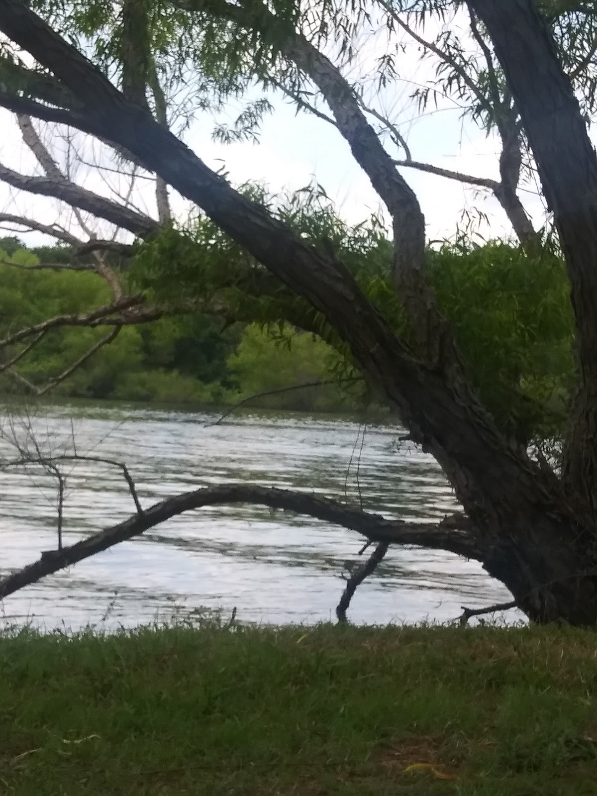 Anchor Inn Marina and Resort