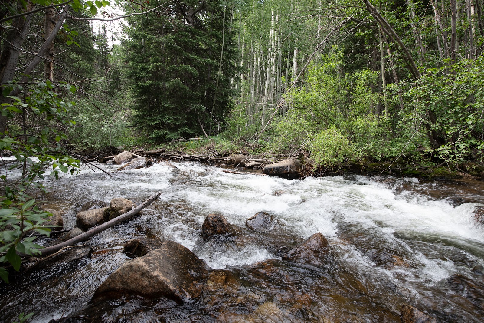 Collegiate Peaks Campground