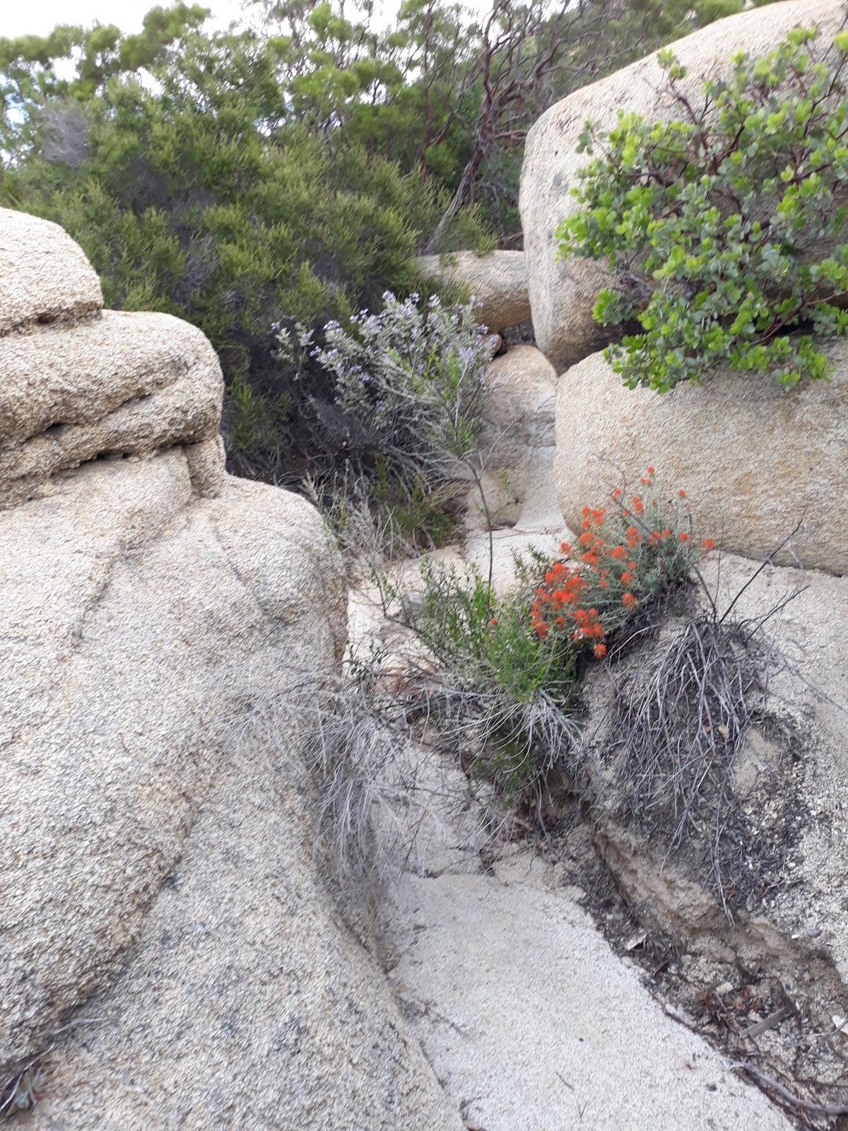 Indian Flats Campground