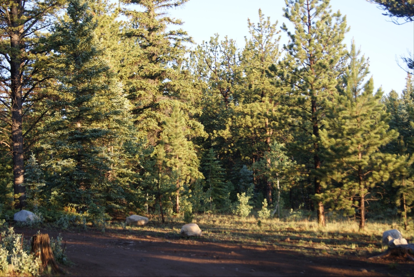 Buffalo Springs Campground