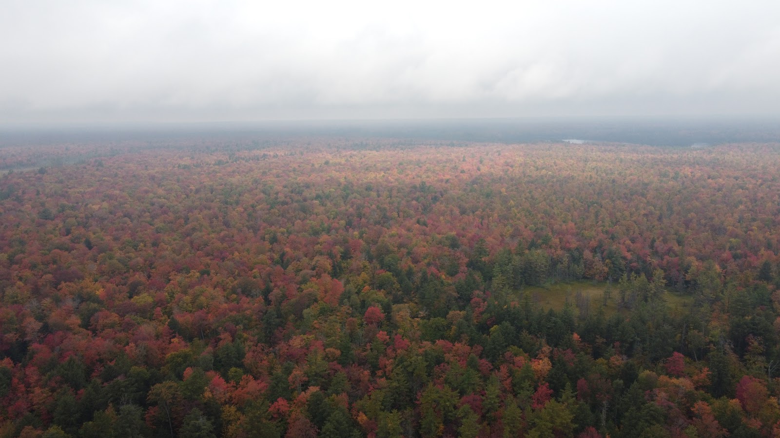 Cusino Lake SF Campground
