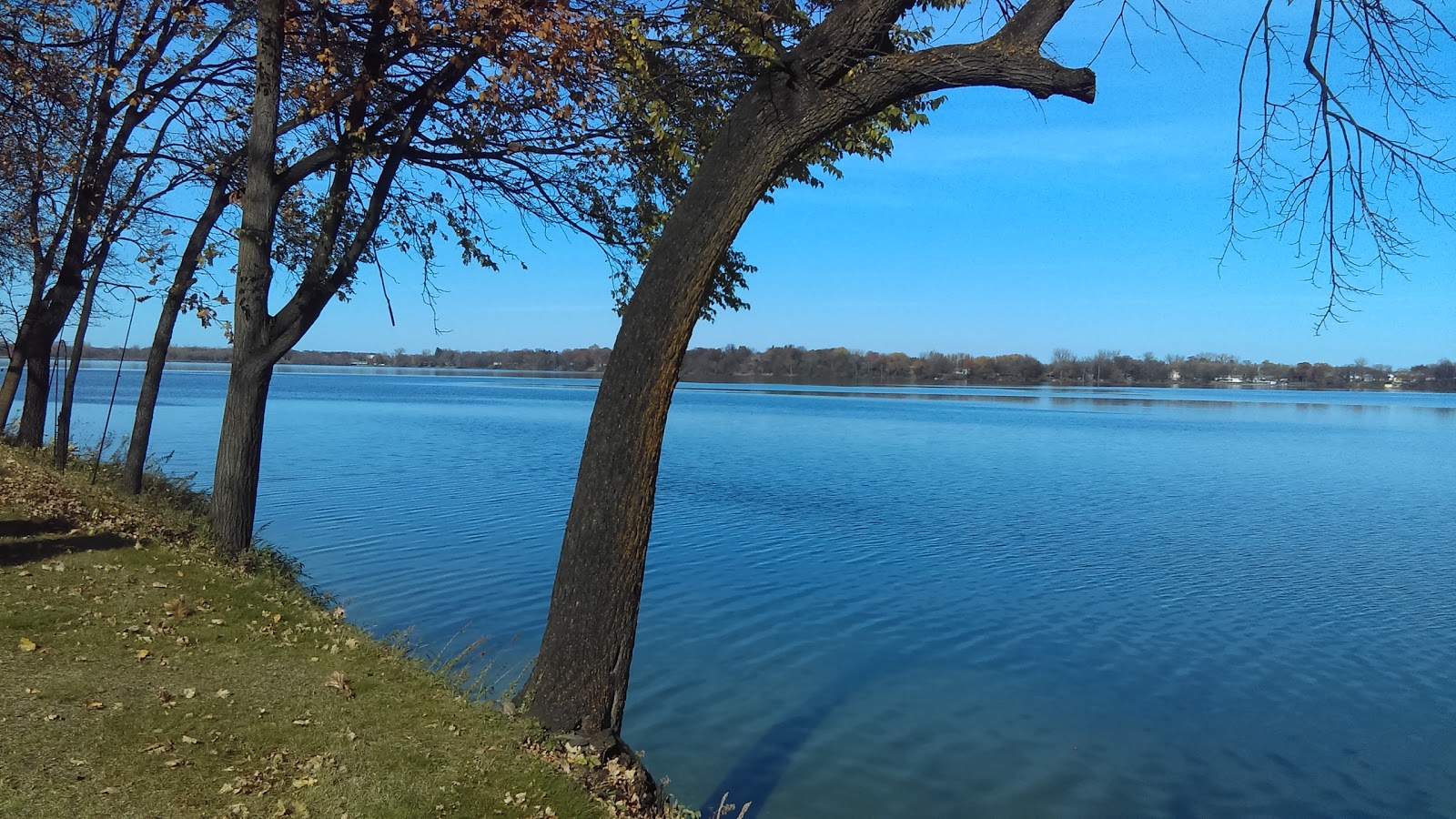 Codgers Cover RV Resort