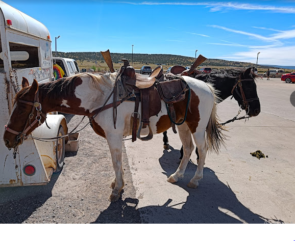 Seligman - Route 66 KOA Journey