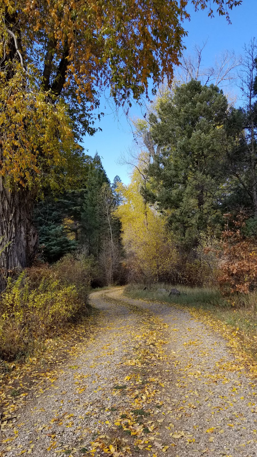 La Sombra Campground