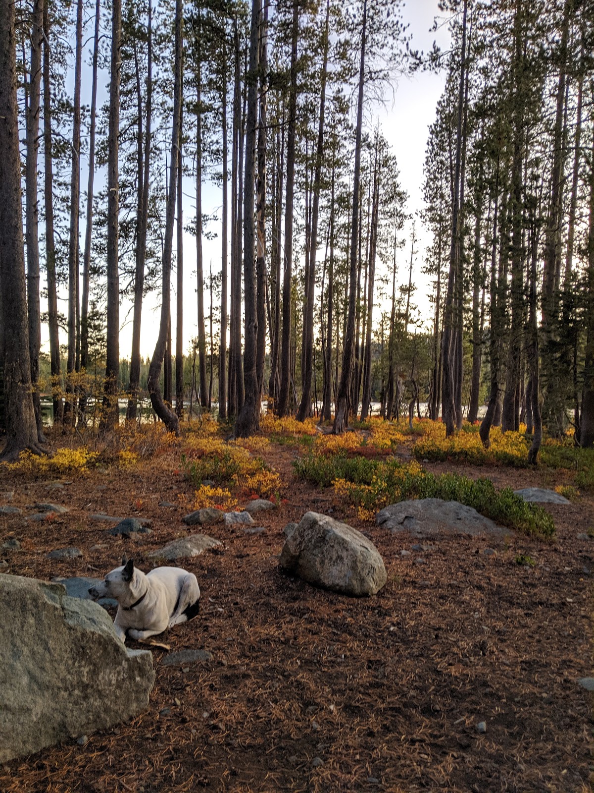Goose Lake Campground