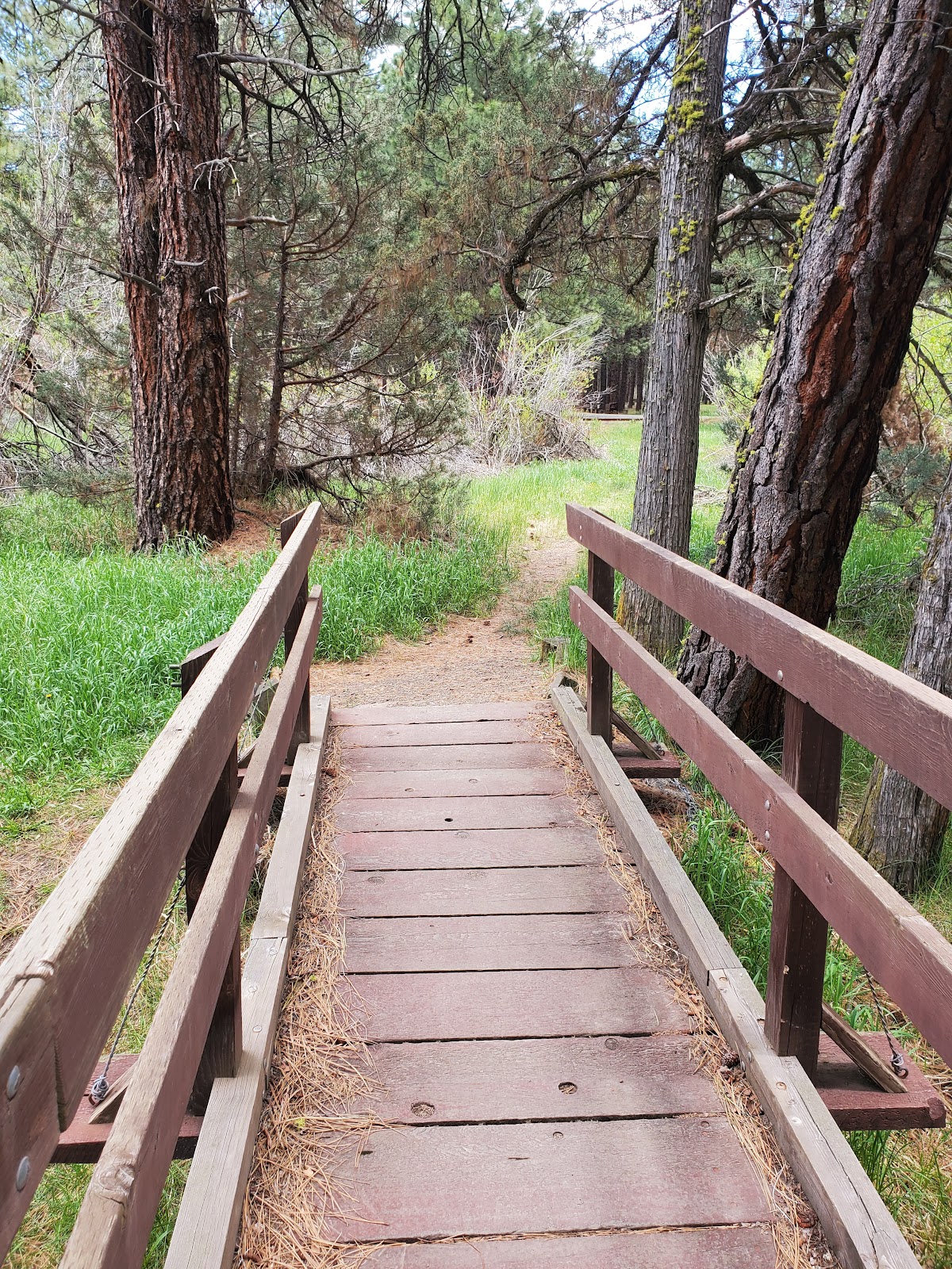 Willow Creek Campground