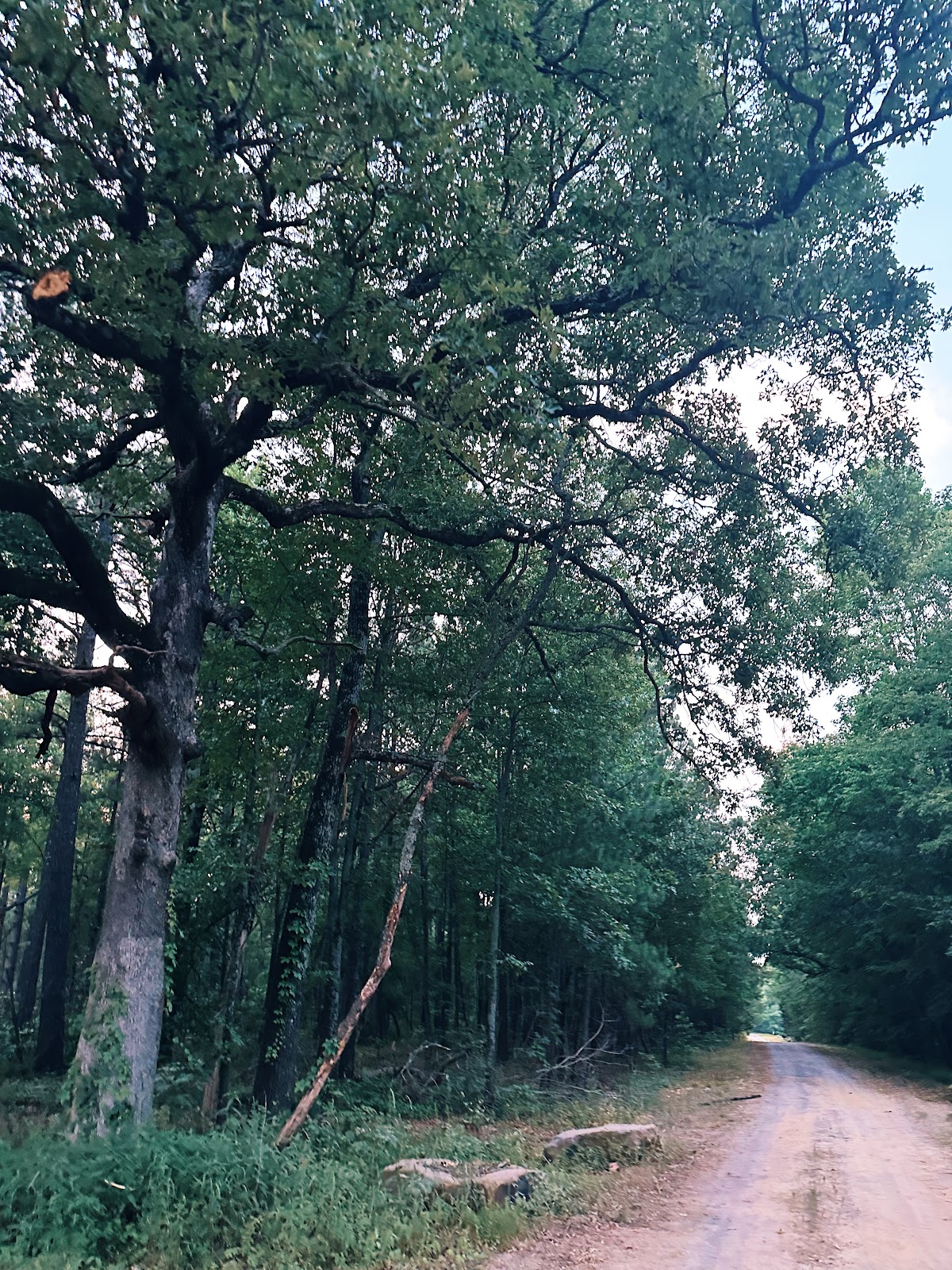 Camp Robinson RV Park