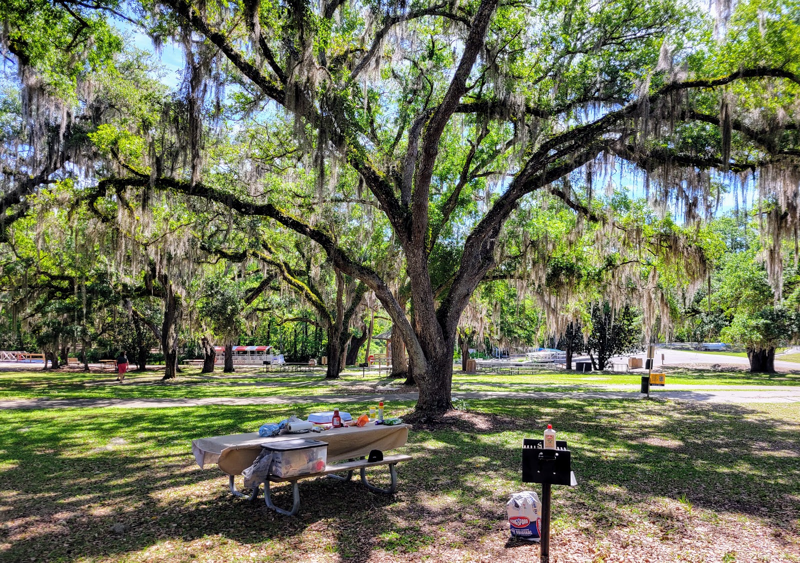 Lake Griffin State Park
