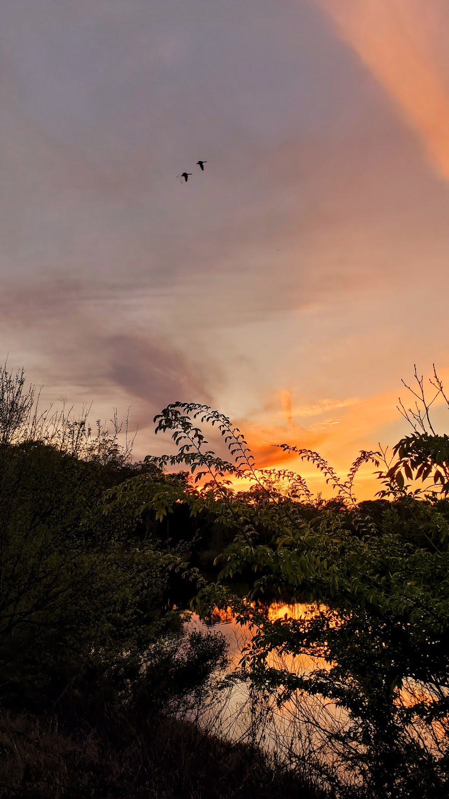 Cains Creekside RV Park