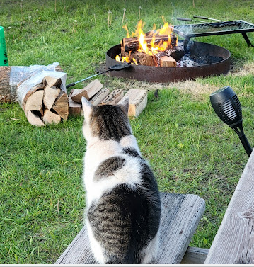 Country Village RV Park