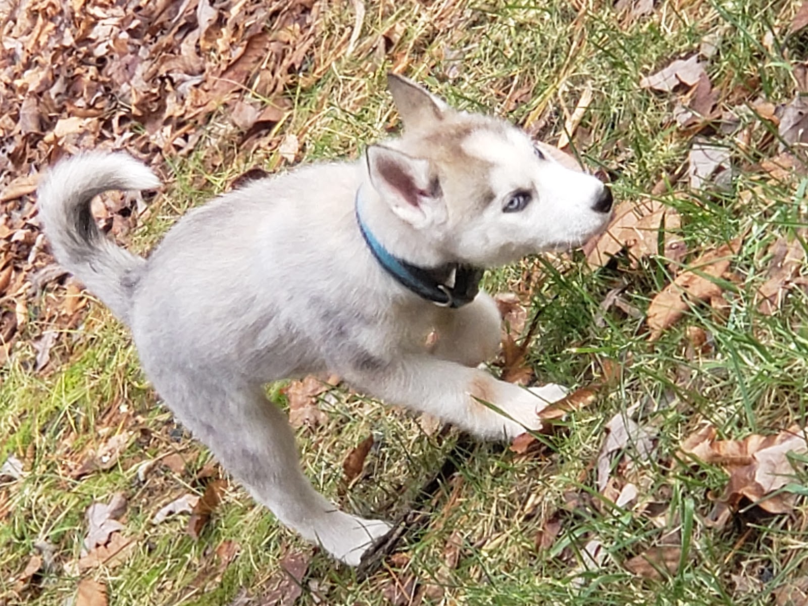 Old Corundum Millsite Campground