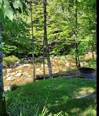 Mill Brook Campground