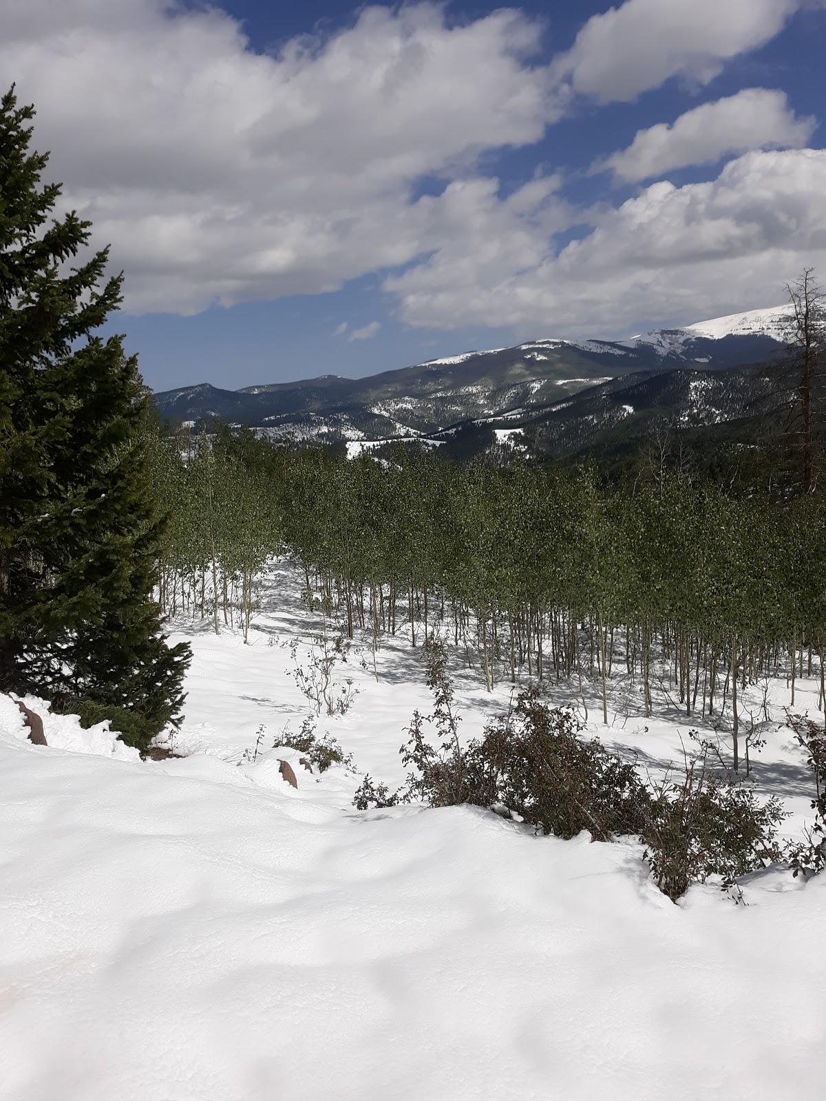 Upper Beaver Campground