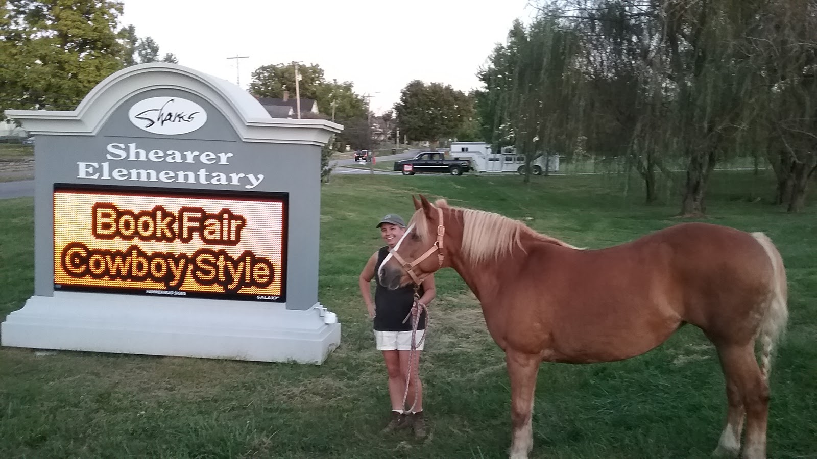 Mint Lick Lodge B&B & Horse Layover