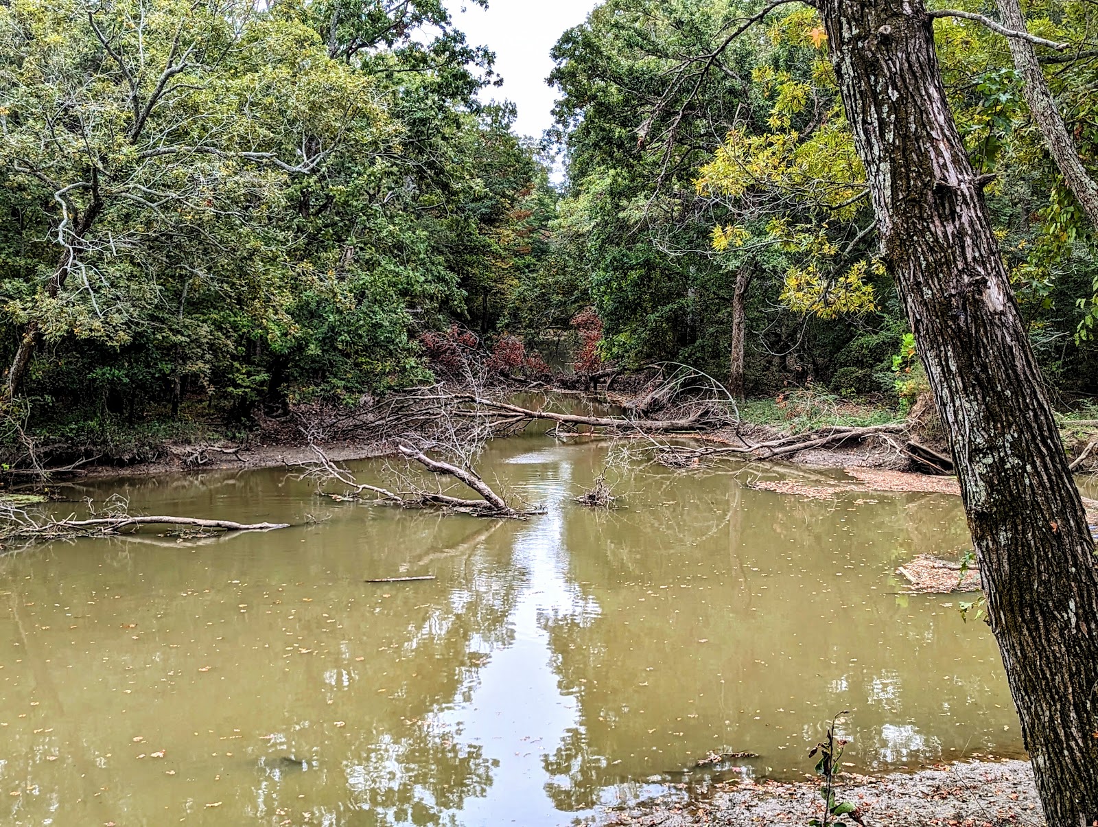 St. Francis Sunken Lands Wildlife Management Area