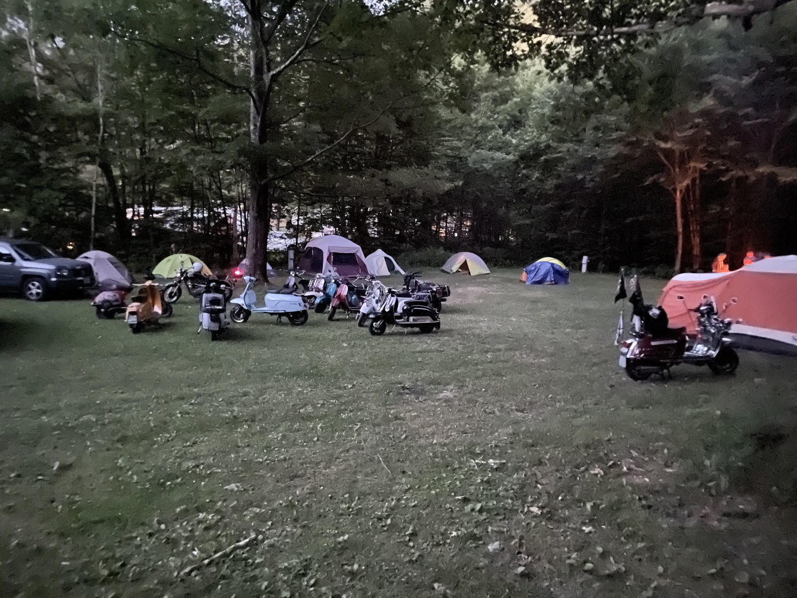 Pine Hollow Camping