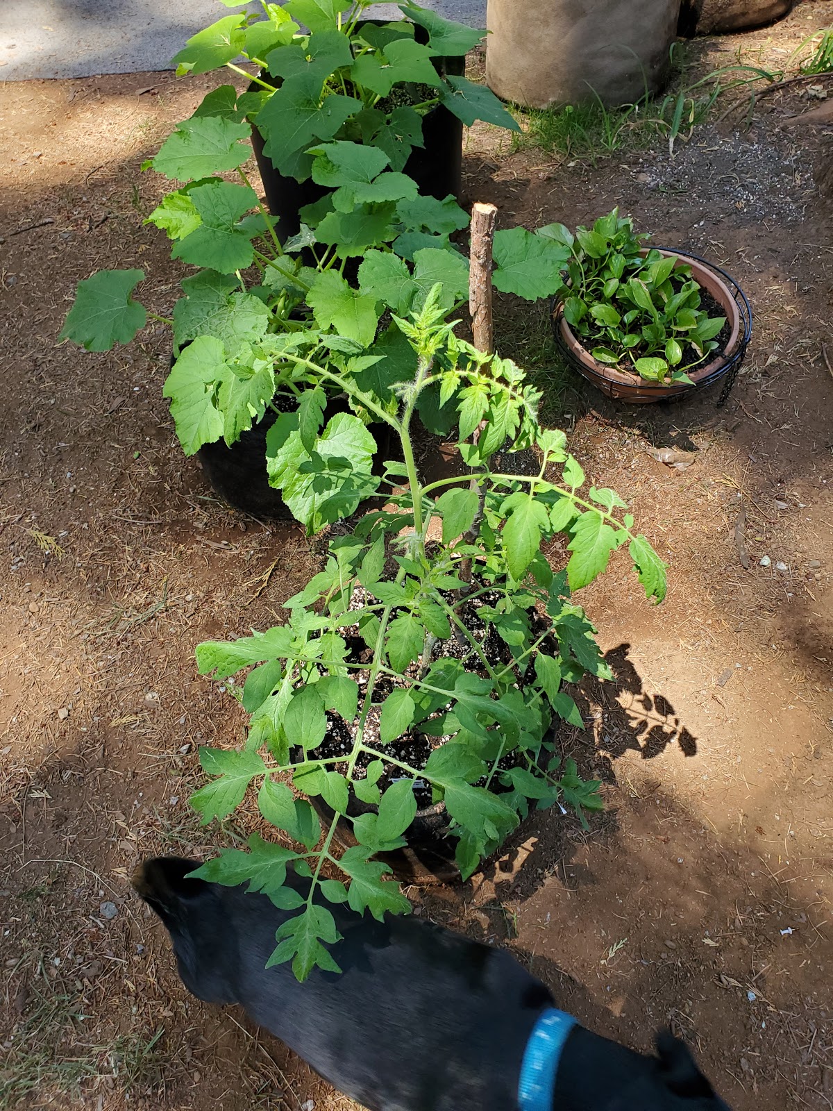 Camp Chiquita Campground