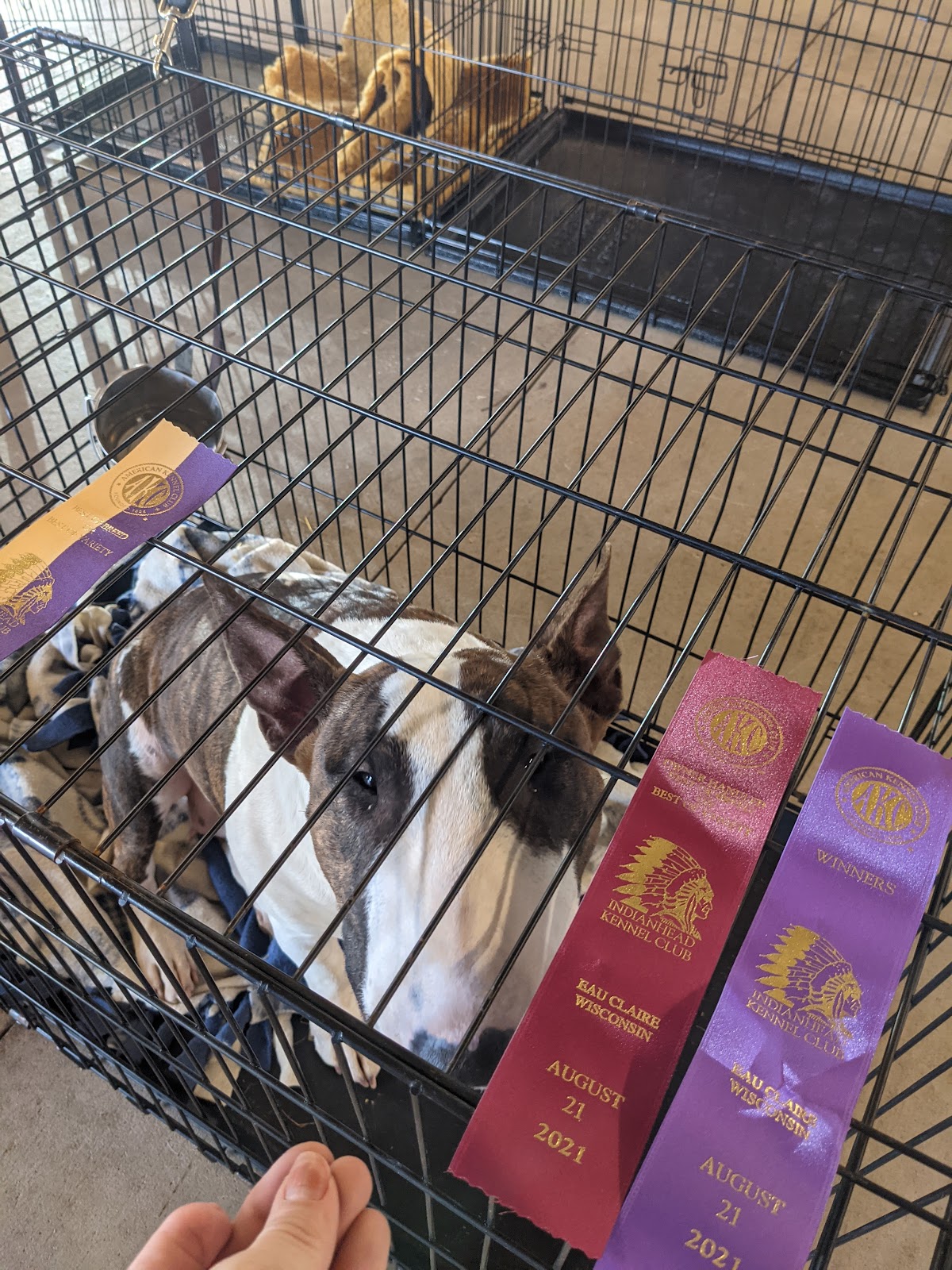 Eau Claire Co. Expo Center