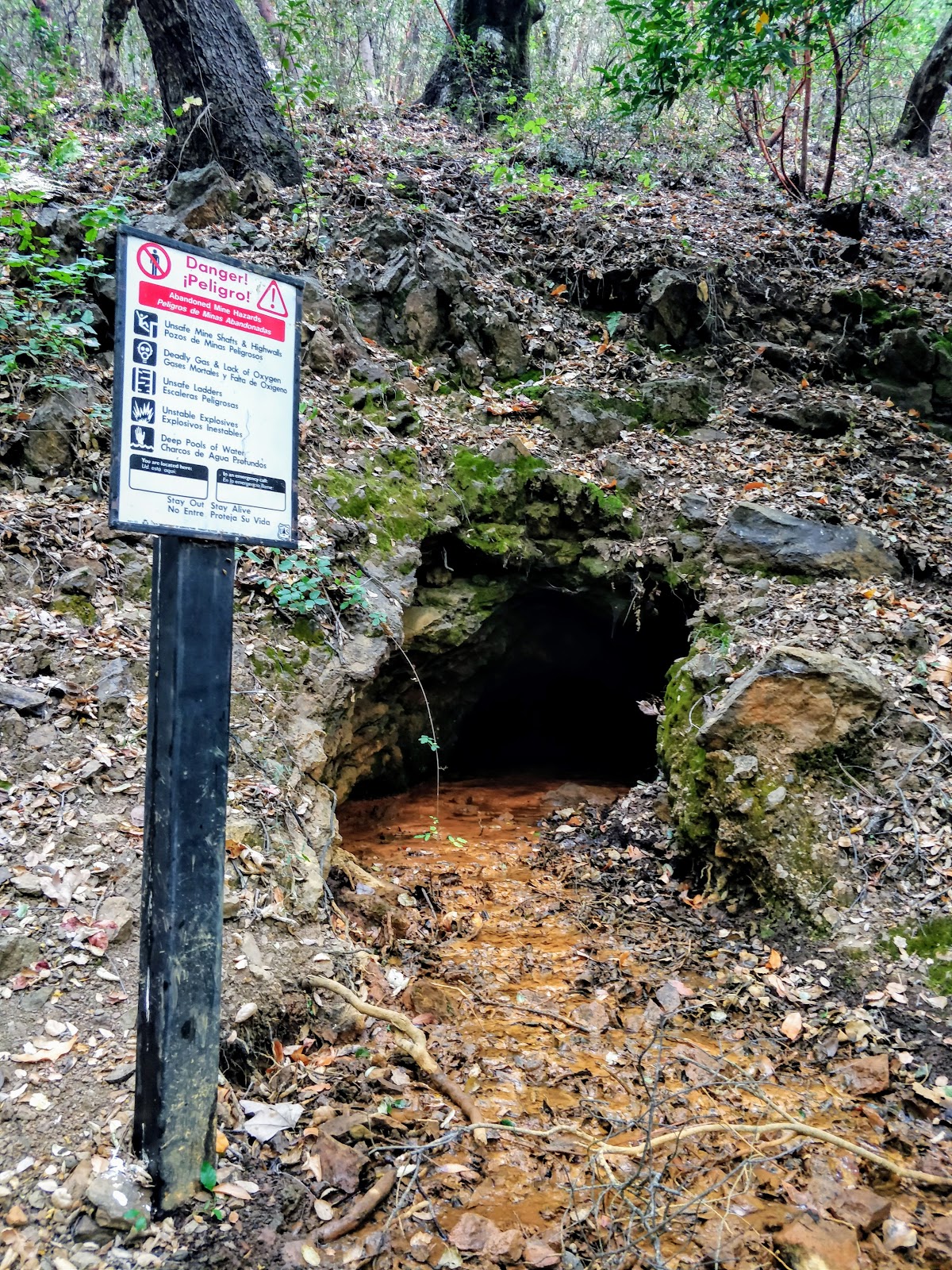 Alder Creek Campground