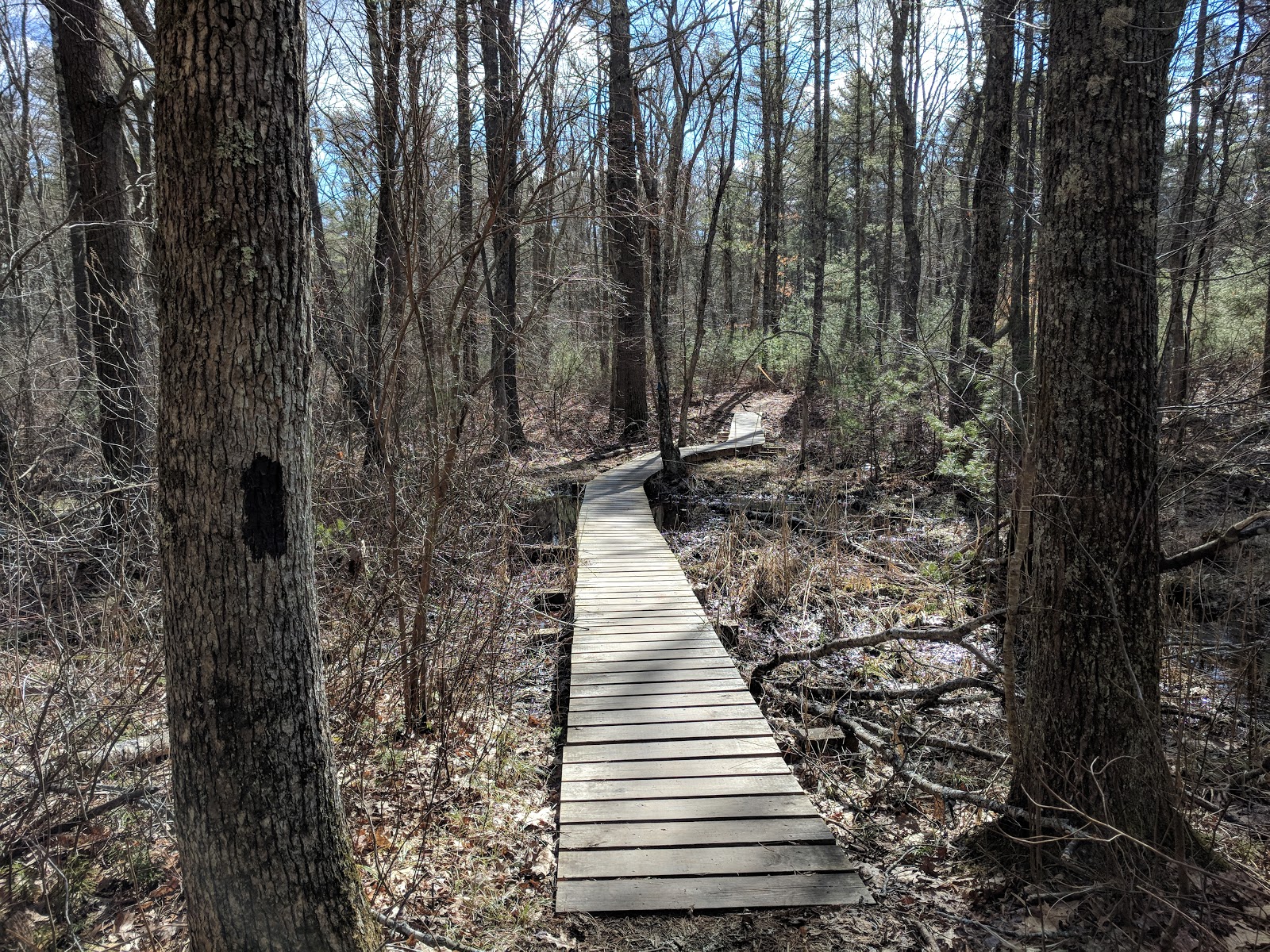 Massasoit State Park