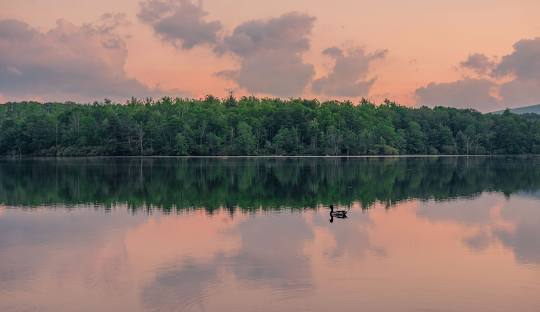 Julian Price Park Campground