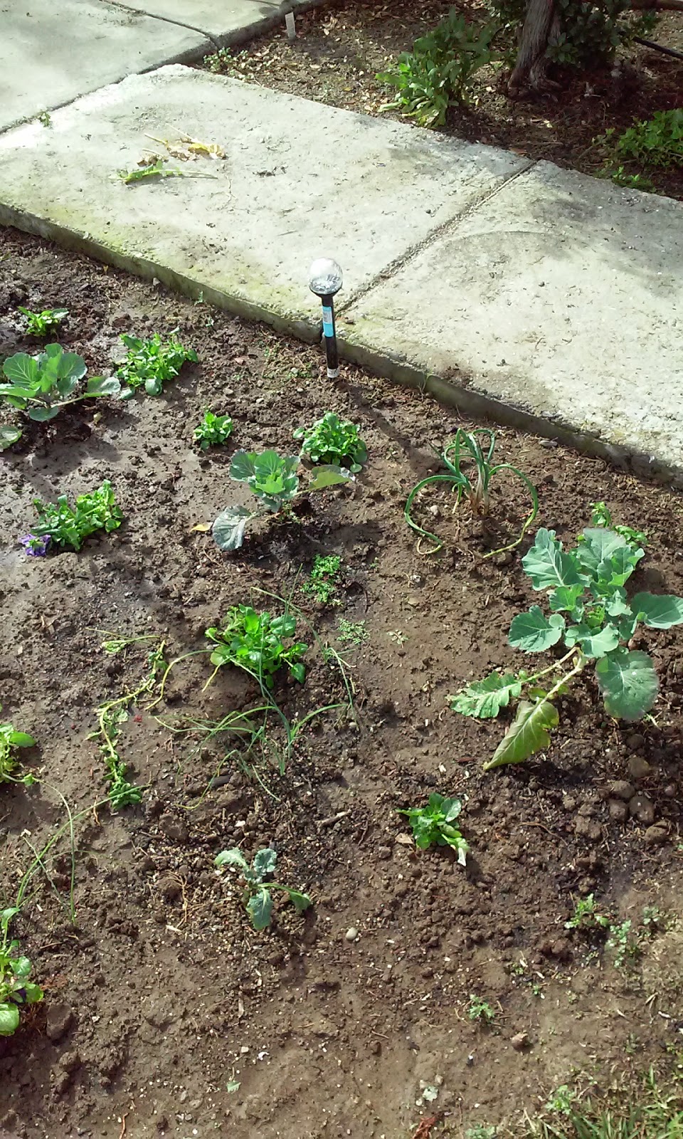 Almond Grove Mobile Home Park