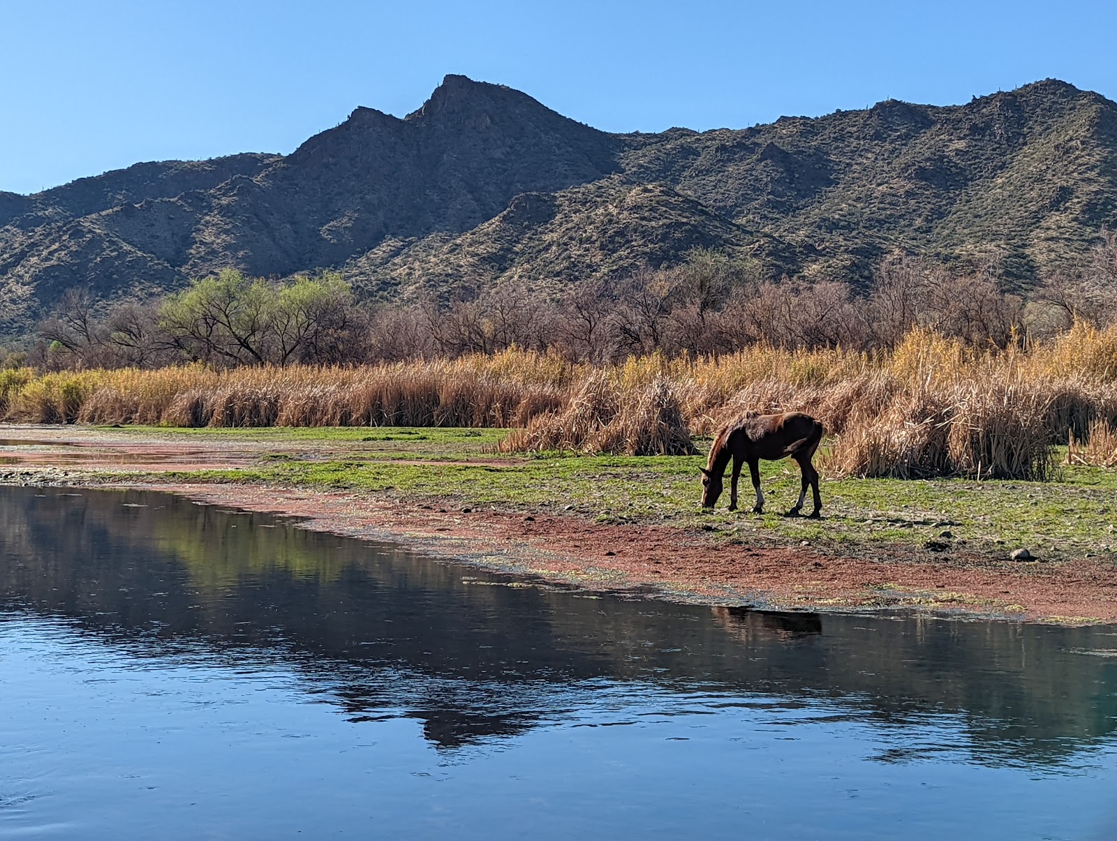 The Point Campground