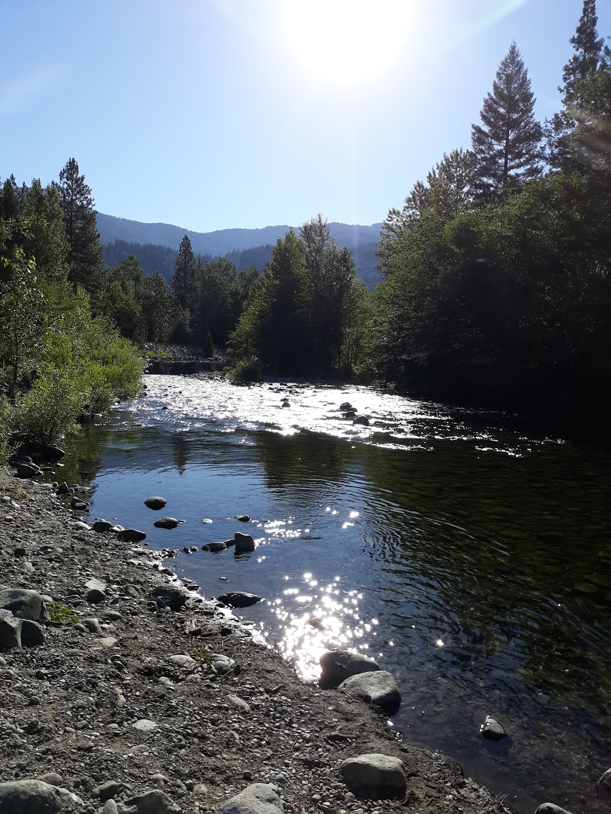 Coffee Creek Campground and RV