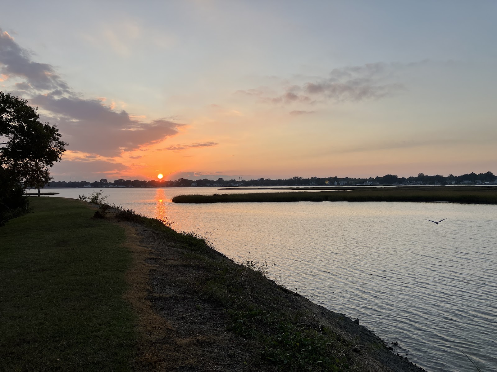 The Colonies RV & Travel Park