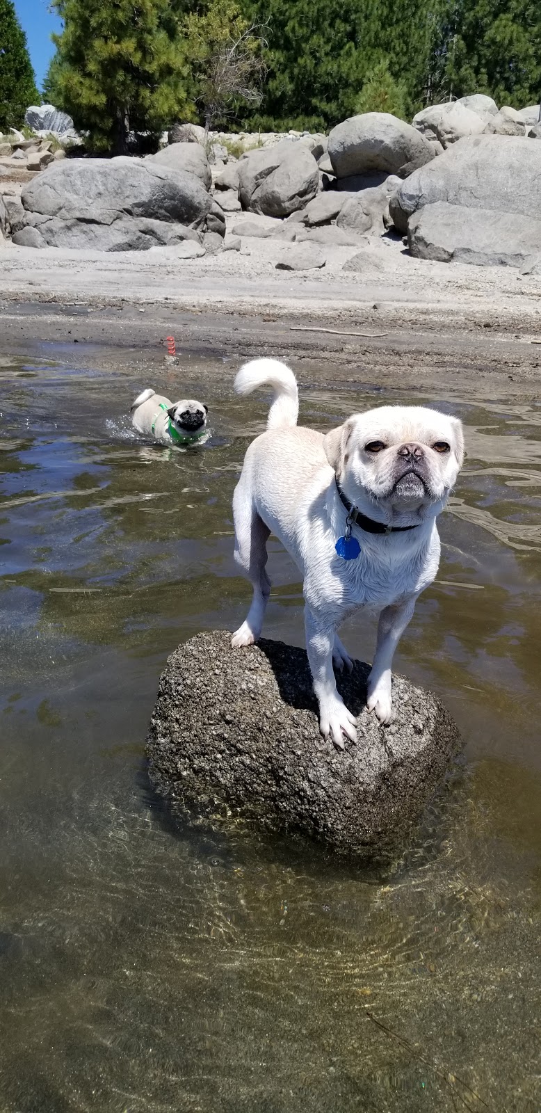 Northwind Campground