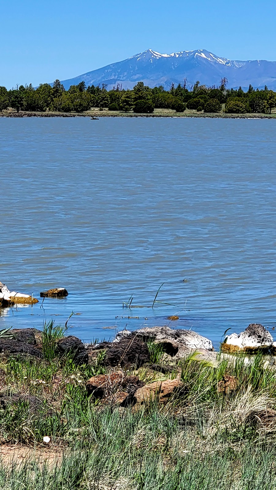 Ashurst Lake Campground