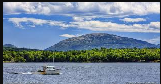 Lamoine State Park - Park