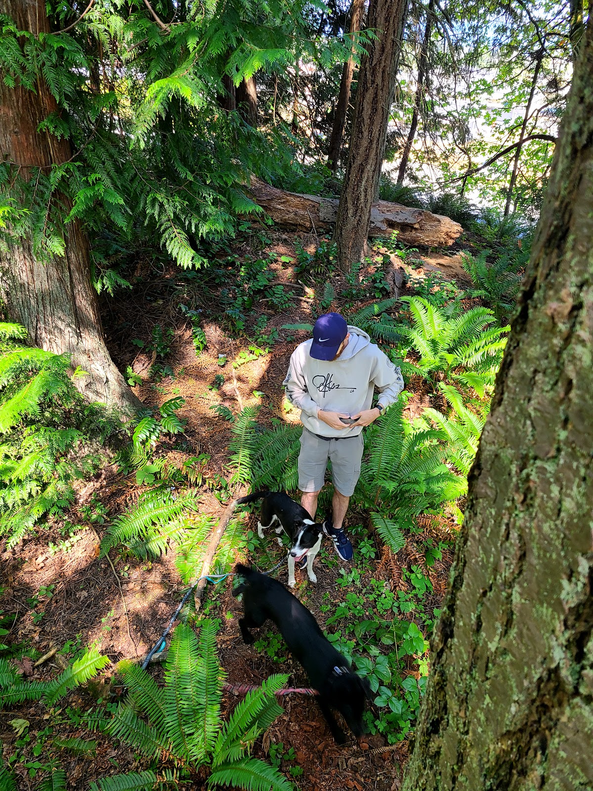 Olympic National Park