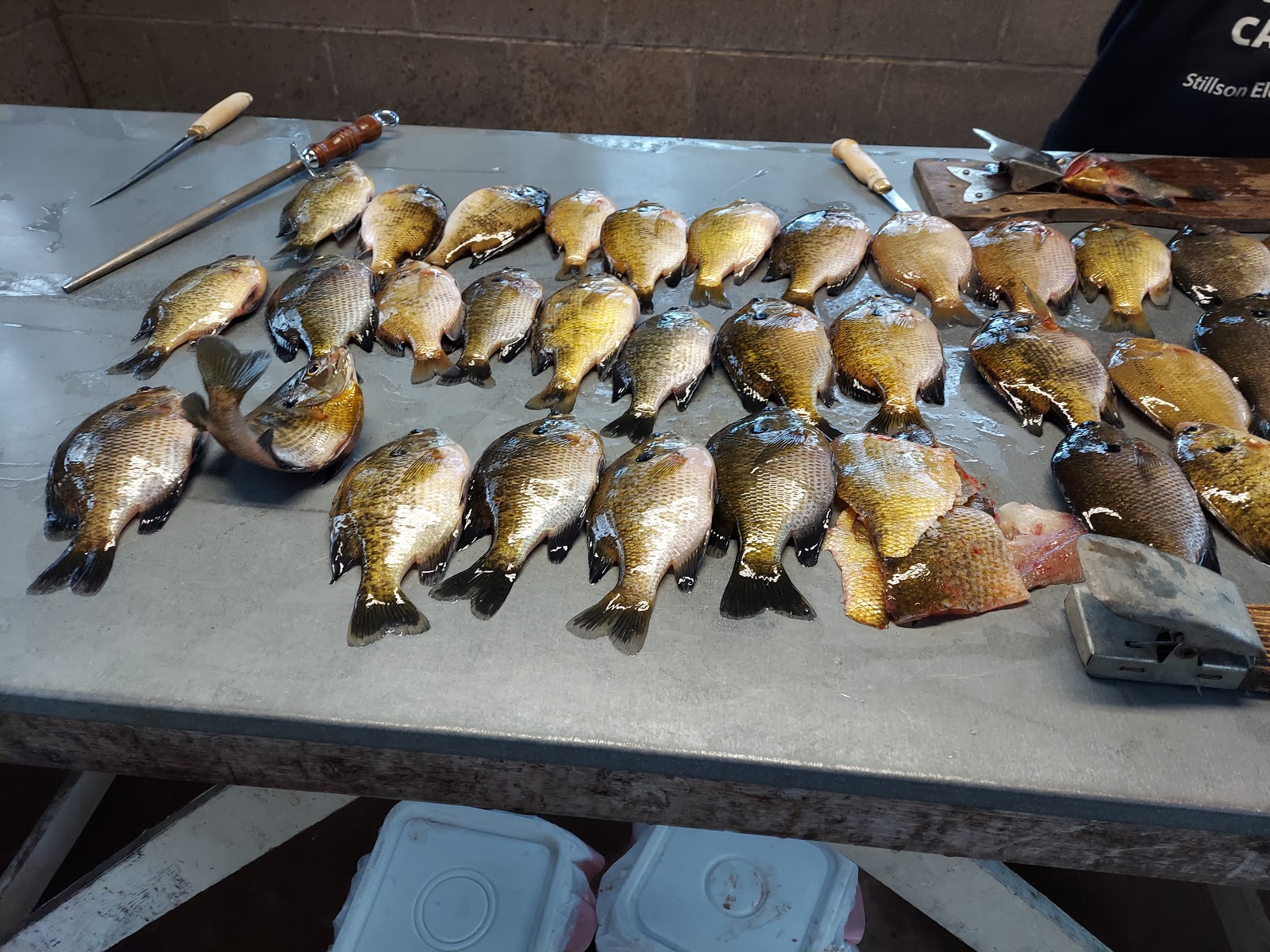 Hitts Wildwood Resort