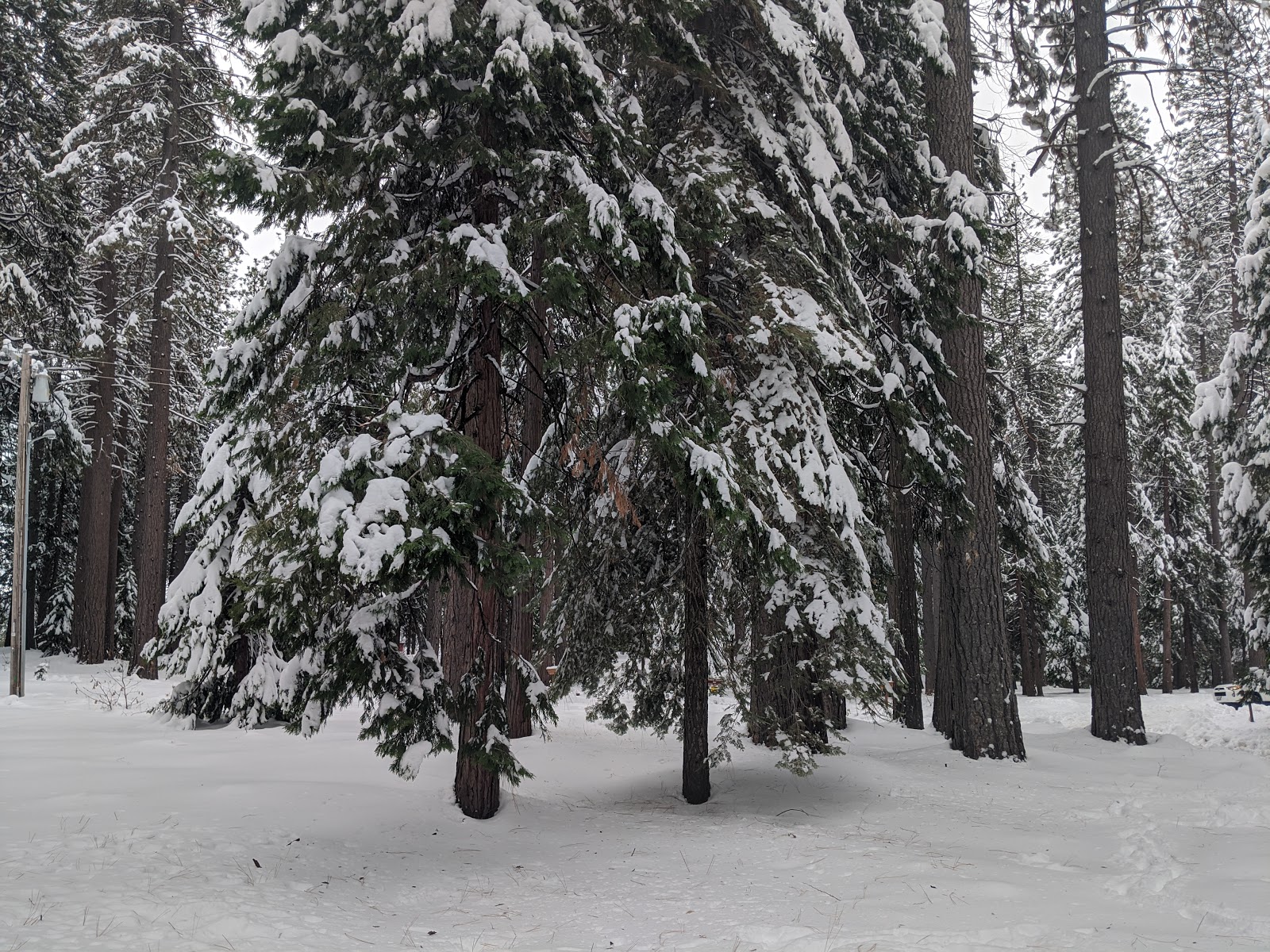 White Cloud Campground